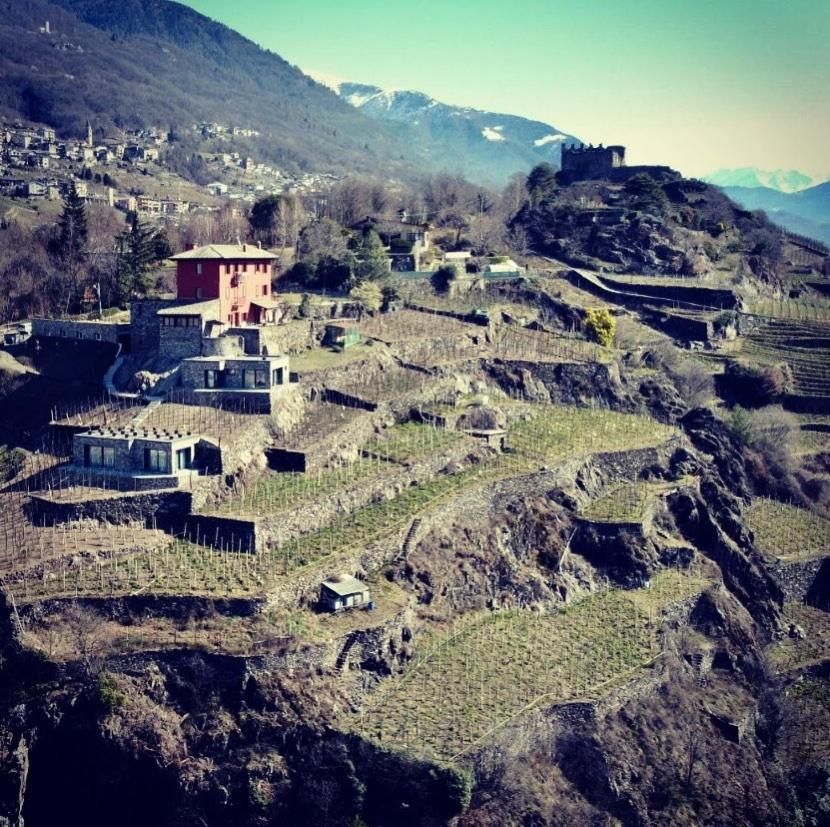 Cà Rossa wine experience Bed & Breakfast Sondrio Ngoại thất bức ảnh