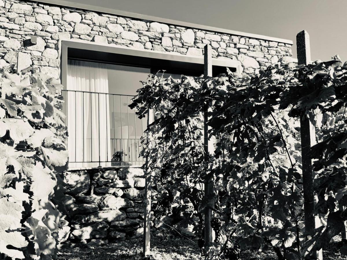 Cà Rossa wine experience Bed & Breakfast Sondrio Ngoại thất bức ảnh